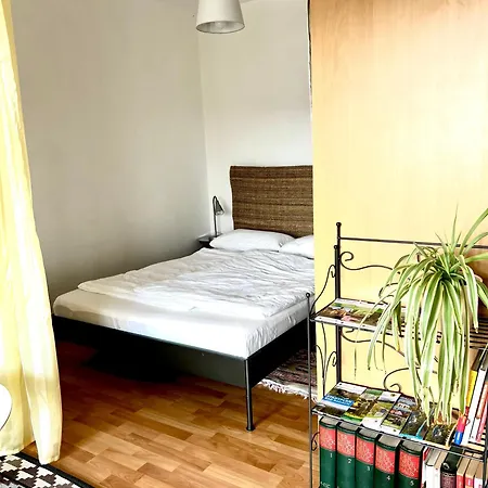 Erdeni-appartment Mit Sonnigem Südbalkon Zum Kurpark *